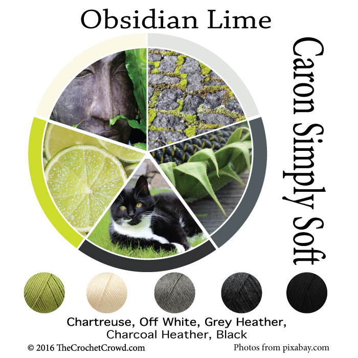 Caron Simply Soft Obsidian Lime Color Combinations