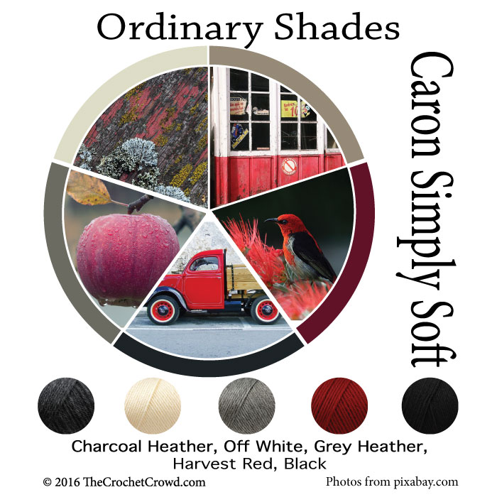 Caron Simply Soft Ordinary Shades Color Combinations