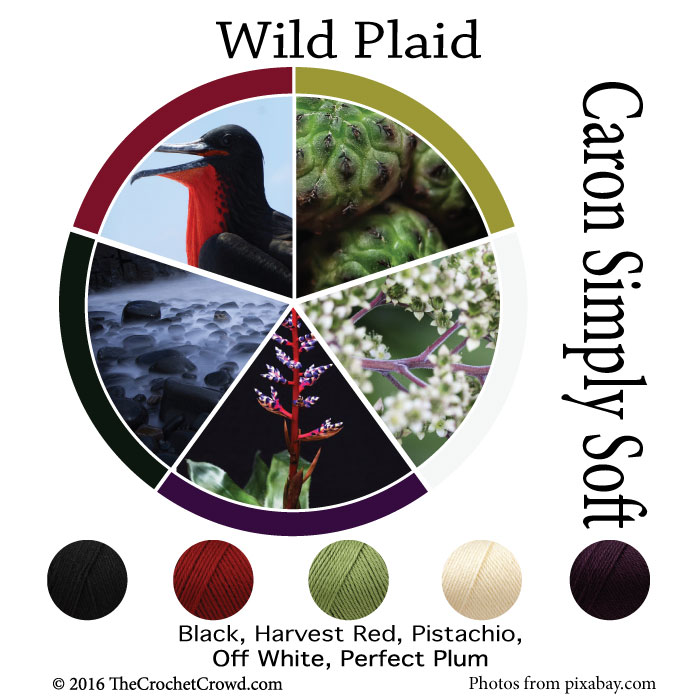 Caron Simply Soft Wild Plaid Color Combinations