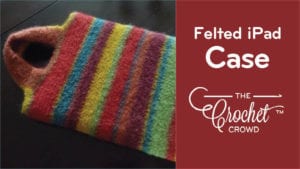 Felted iPad Case