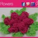 Forever Crochet Flowers