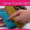 Crochet Camel Stitch + Tutorial