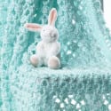 Bunny’s Baby Crochet Blanket Pattern