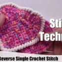 Reverse Single Crochet Stitch