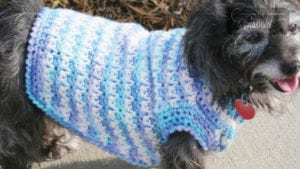 Free crochet patterns for small dog sweaters best sale