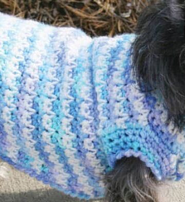 Crochet Dog Sweater