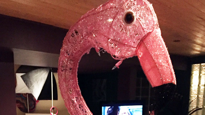 Pinky the Flamingo Crochet Transformation