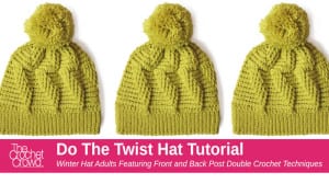 Crochet Do the Twist Hat Pattern