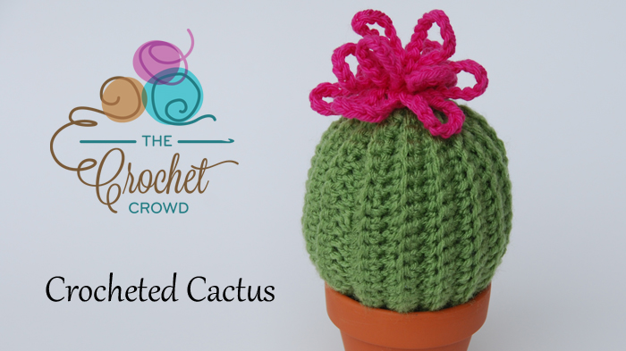 Crocheted Cactus