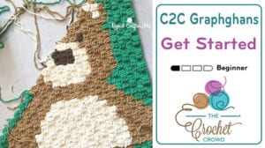 How to Corner-to-Corner Crochet (C2C) for Beginners - Sarah Maker