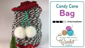 Crochet Candy Cane Santa Bag