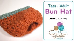 Crochet Teen or Adult Bun Hat