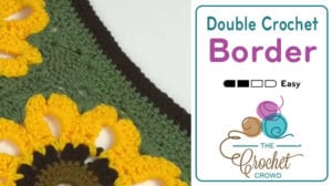 Beyond Borders Double Crochet Border