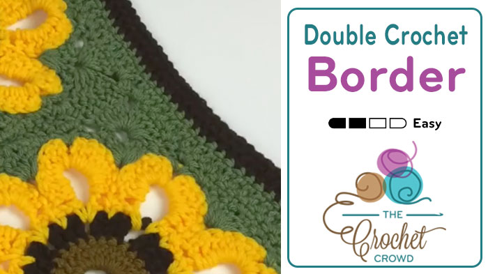 Beyond Borders: Double Crochet Border