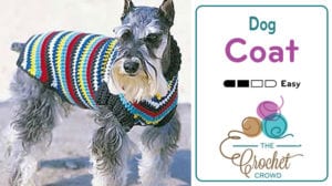 Crochet on sale dog coat