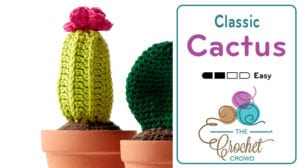 Crochet Classic Cactus Flower Pot