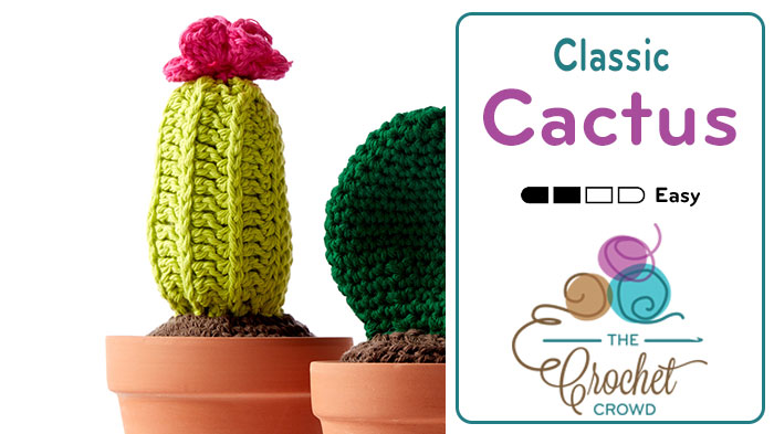 Crochet Classic Cactus Flower Pot