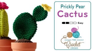 Crochet Prickly Pear Cactus Flower Pot