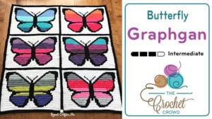 Crochet Butterfly Graphgan by Repeat Crafter Me