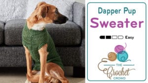 Dandy Dog Sweater: Easy Crochet Dog Sweater Pattern