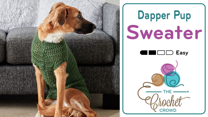 crochet dog sweater