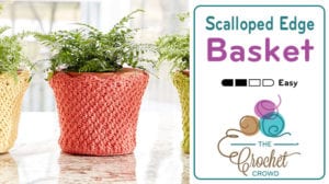 Crochet Scalloped Edge Basket / Flower Cozy