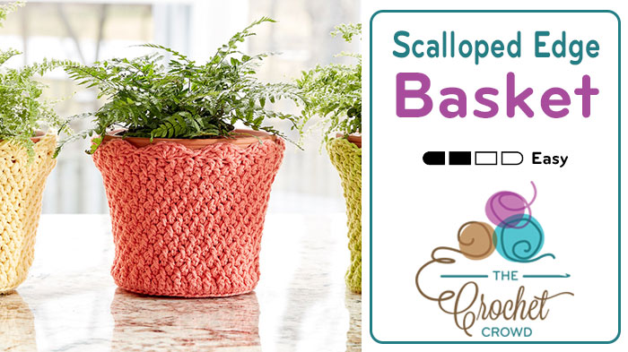 Crochet Scalloped Edge Basket / Flower Cozy