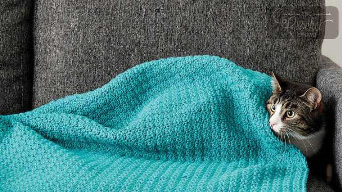 Crochet Kitty Blanket