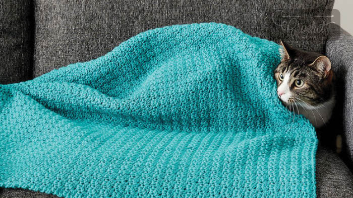 Crochet Cat Blanket Pattern + Tutorial | The Crochet Crowd