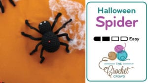 Crochet Halloween Spider