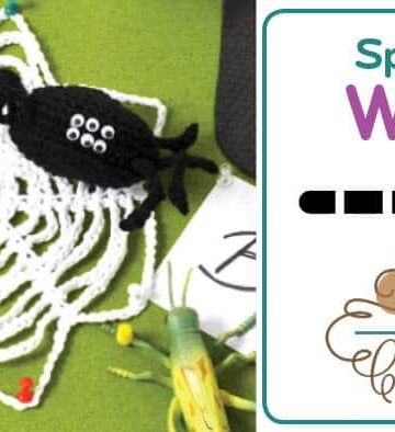 Crochet Halloween Spider & Web