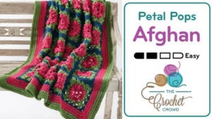Crochet Petal Pops Afghan