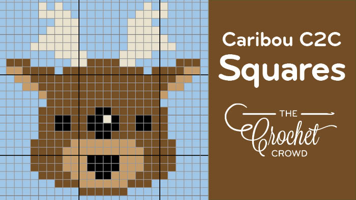 Crochet C2C Caribou Square