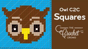 Crochet Owl C2C Squares