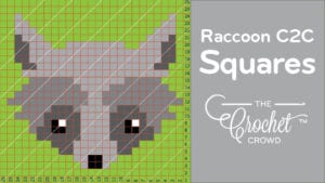 Crochet Raccoon C2C Squares