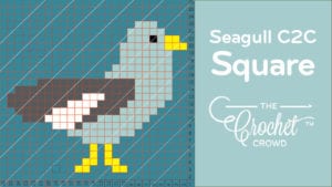 Crochet C2C Seagull Square