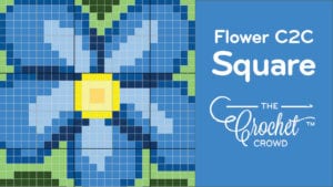 Crochet Forget Me Not Flower C2C Square