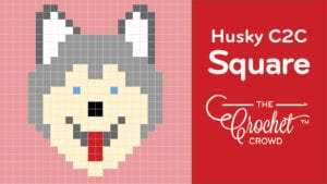 Crochet Husky C2C Square