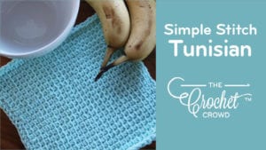 Tunisian Simple Stitch