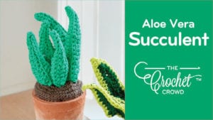 Crochet Aloe Vera Succulent
