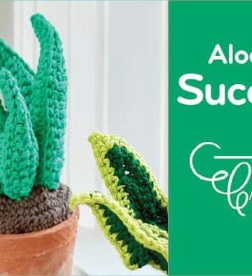 Crochet Aloe Vera Succulent