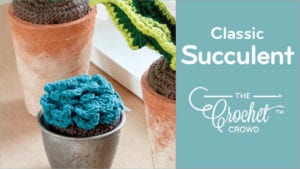 Crochet Classic Succulent