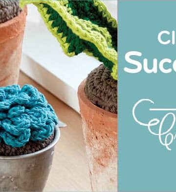 Crochet Classic Succulent