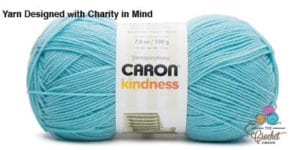 Caron Kindness Robins Egg Blue