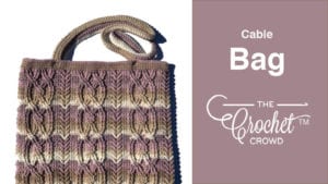 Crochet Cable Bag