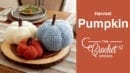 Crochet Harvest Pumpkin