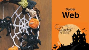 Crochet Spider Web