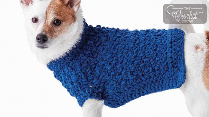 crochet dog poncho