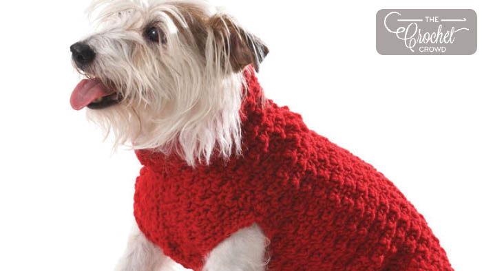 Crochet Dog Coat