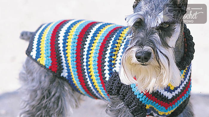 Crochet Dog Coat Pattern + Tutorial